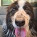 Mike Knipper - Facebook