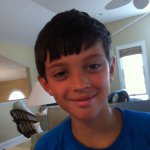 Mike Knoll - @mike_knoll - Instagram