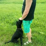 Mike Köhler - @mike.kohler.5602 - Instagram