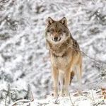 Mike Köhler - @mike_koehler_ - Instagram
