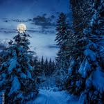 Mike Kovac - @mikekovac33 - Instagram