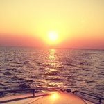 Mike Krajewski - @mkrajew16 - Instagram