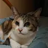 suzu mikeku - @suzu.mikeku - TikTok