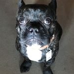 Mike Tyson Kubiak - @mike_k1718 - Instagram