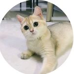 Mike Kwok - @mikekwok_1031 - Instagram