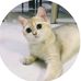 Mike Kwok - Facebook
