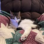 Mike Lalli Jr. - @lallijr.mike - Instagram