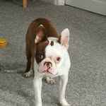Mike Lamanna - @lamanna937 - Instagram