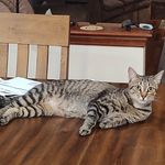 Mike Landi - @michael.landi.9700 - Instagram