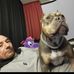 Mike Landon - Facebook