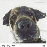 Mike landon - @mik.elandon - Instagram