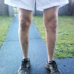 Mike Langton - @mikesgreenarmy - Instagram