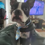 Mike Lanham - @lanhammike - Instagram