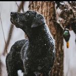 Mike Lassiter - @mike_lassiter8 - Instagram