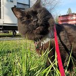 Mike Delauder - @mikedelauder - Instagram