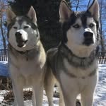 Mike Lauer - @lauer1961 - Instagram