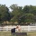Mike Laughlin - Facebook