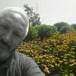 Mike Laughlin - @grismane - Instagram
