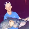mike laughlin - @mike.laughlin8 - TikTok