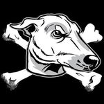 Mike Lavin - @skankhound - Instagram