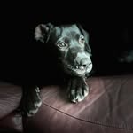 Mike Lazo - @mlaz_9 - Instagram