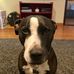 Michael Lefkowitz - Facebook