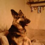 Mike LeJeune - Facebook