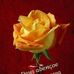 Mike Lemos - Facebook