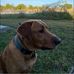 Mike Lesher - Facebook