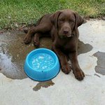 Mike LeVasseur - @levasseurmike - Instagram