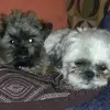 Mike Lewandowski - @mike.lewandowski0 - TikTok