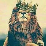 Nawid Qasemi - @mike.lewandowski - Instagram