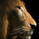 Mike Lippert - @lippert_mike - Instagram