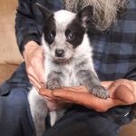 Mike Loftus - @mike.loftus.967 - Instagram