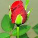 Mike Lor - Facebook