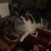 Michael Lorton - Facebook