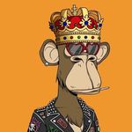 Mike Lorusso - @mike_lorusso_ - Instagram