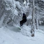 Mike LoSchiavo - @mikey_loschiavo - Instagram