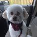 Mike Losier - Facebook