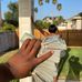 Mike Lou - Facebook