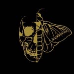 Mike Louder Music - @mike_louder_music - Instagram