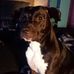 Mike Loudin - Facebook