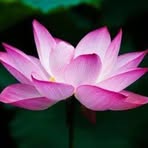 Mike Louk - Facebook
