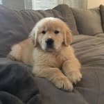 mike Loukamaa - @mikeloukamaa - Instagram