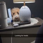 Mike Lovato - @mike.lovato.50 - Instagram
