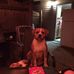 Michael Loveday - Facebook