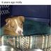 Mike Lovejoy - Facebook