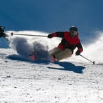 Mike Lowther - @disorientedparrothead - Instagram