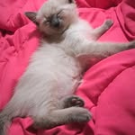 @mikelox._05 - Instagram