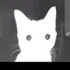 Michael Loza - @michael.loza3 - TikTok